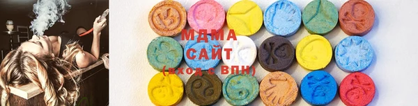 СК Алексин