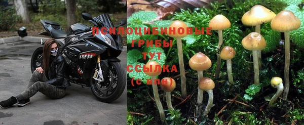 трава Алексеевка