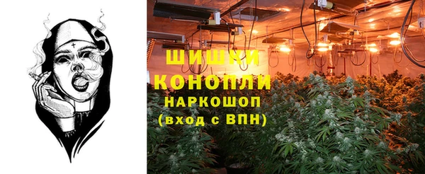 трава Алексеевка